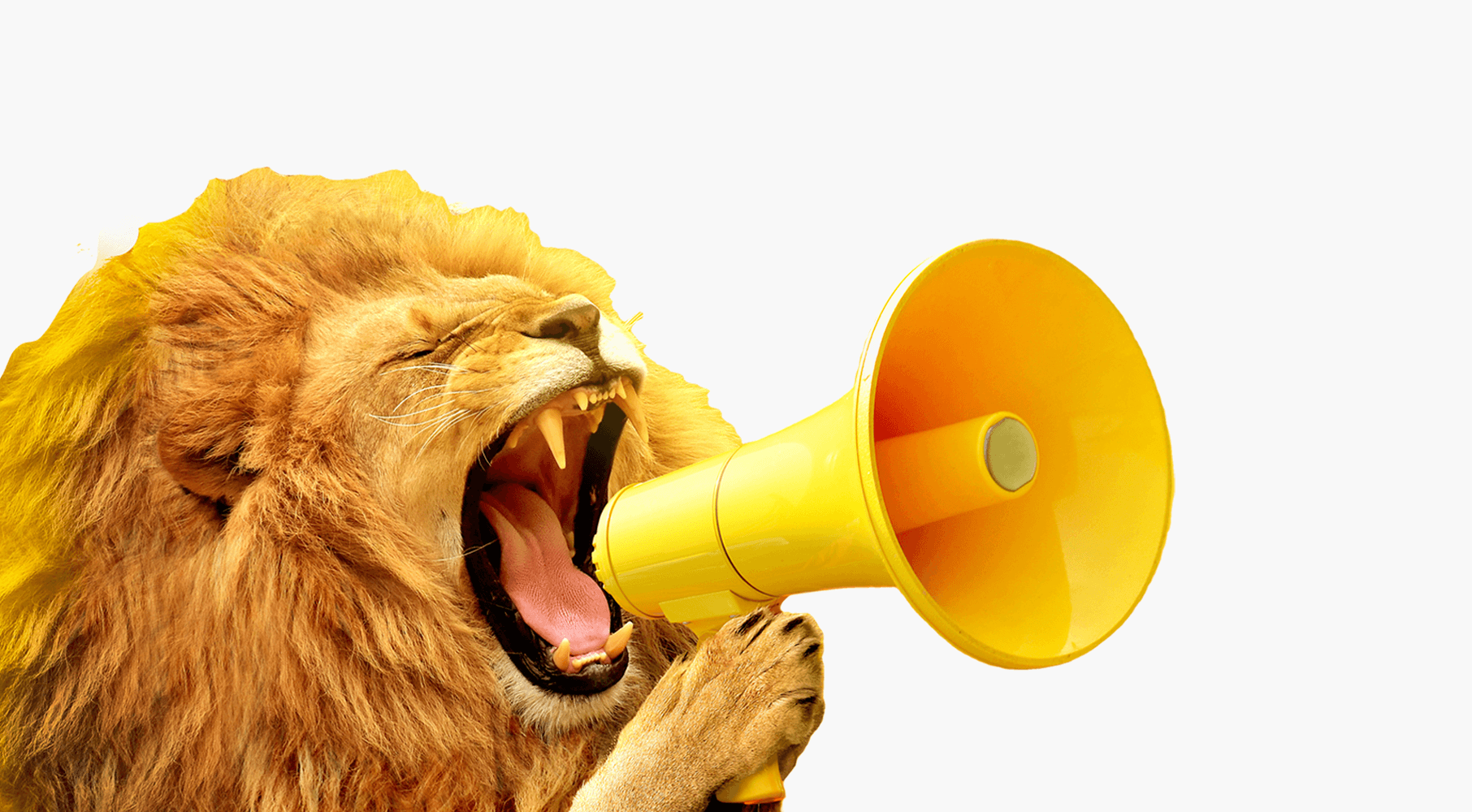 SMM